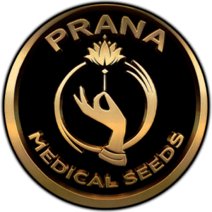 Prana-logo-transparent-420