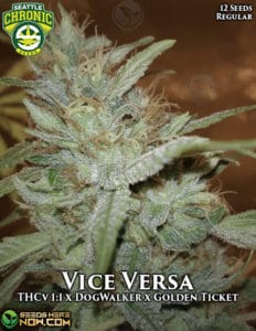 Vice Versa (Regular) - Seattle Chronic Seeds
