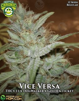 Seattle Chronic Seeds - Vice Versa {REG} [12pk]seattle-chronic-seeds-vice-versa
