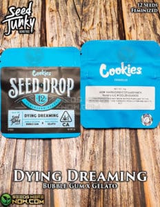 Dying dreaming (feminized) - seed junky genetics