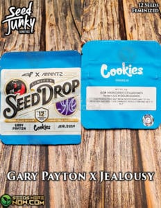 Gary payton x jealousy (feminized) - seed junky genetics