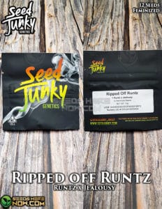 Ripped off runtz (feminized) - seed junky genetics