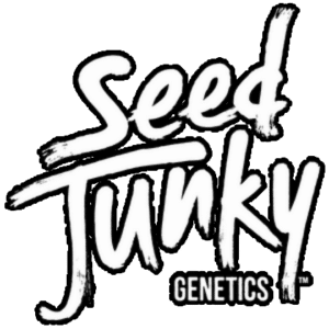 Seed-junky-transparency
