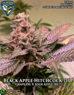 th-seeds-black-apple-hitchcock-710-fem