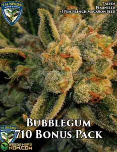 Bubblegum Bonus Pack (feminized) - T.h. Seeds