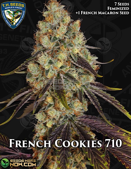 Th-seeds-french-cookies-710-fem