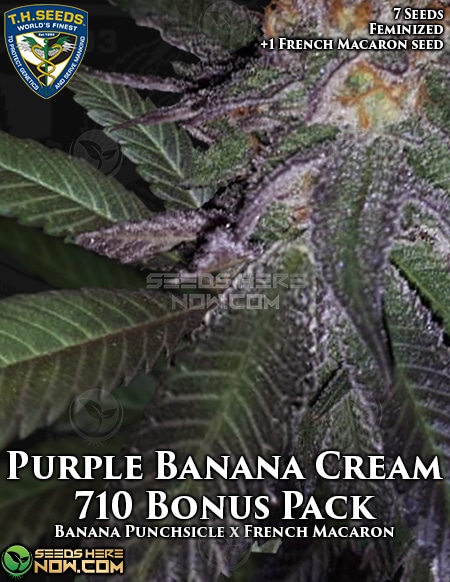Th-Seeds-Purple-Banana-Cream-Bonus-Pack