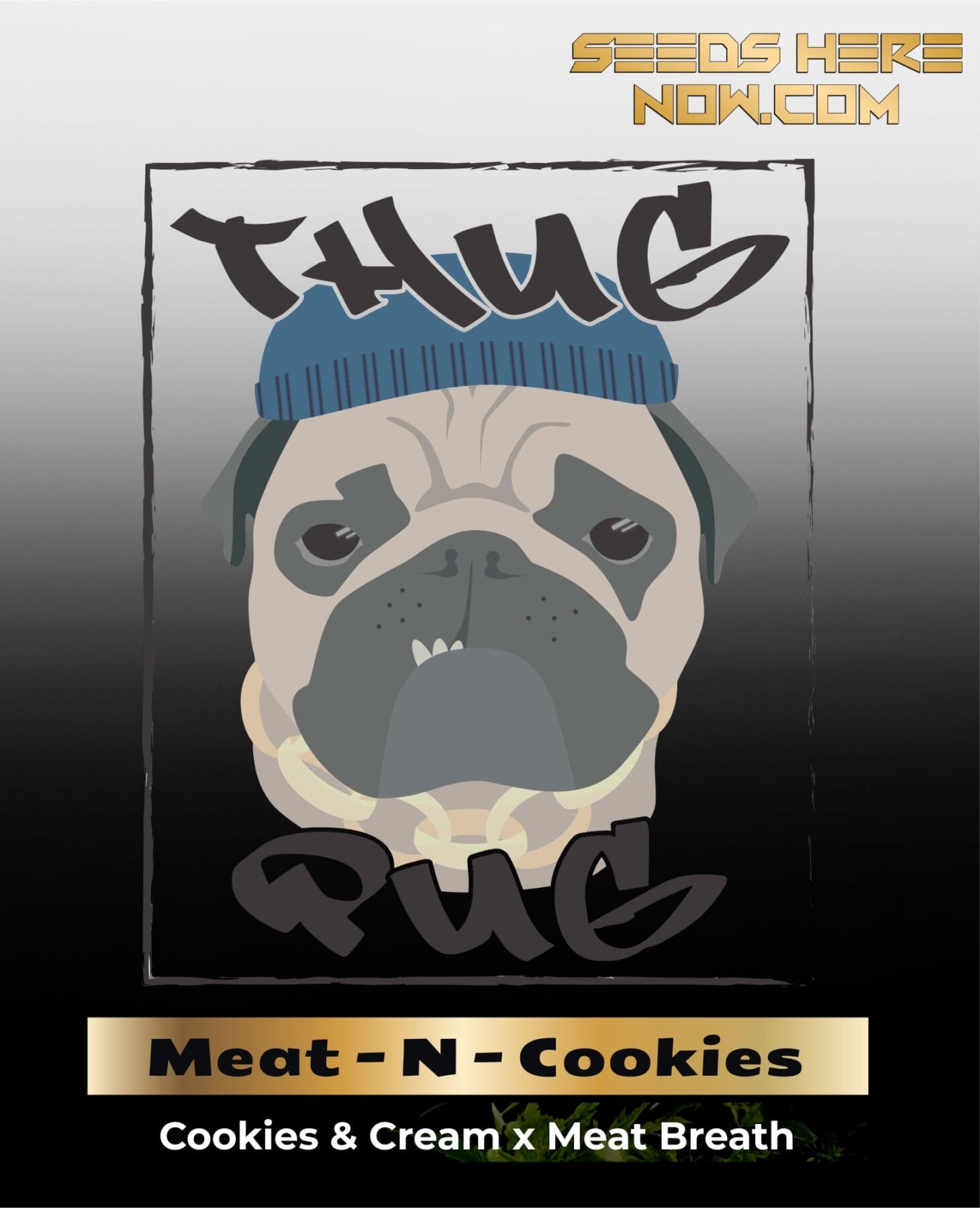 Meat - N - Cookies (Regular) - Thug Pug Genetics