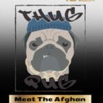 Meat The Afghan (Regular) - Thug Pug Genetics