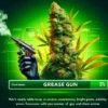 Grease Gun (autoflower) - Atlas Seeds