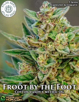 atlas-seeds-froot-by-the-foot-autofem