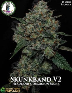 dominion-seed-company-skunkband-v2