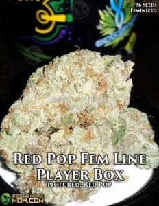 Red Pop Line Player Box (feminized) - Exotic Genetix