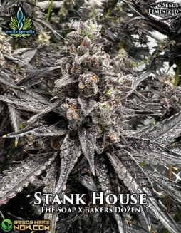 Exotic Genetix - Stank House {FEM} [6pk]exotic-genetix-stank-house-fem