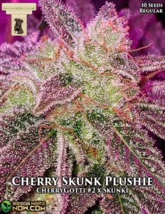 Cherry Skunk Plushie (Regular) - GibbsKutz Genetics