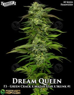 Humboldt Seed Company - Dream Queen {FEM} [10pk]humboldt-seed-company-dream-queen-fem