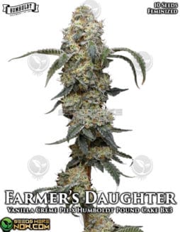 Humboldt Seed Company - Farmers Daughter {FEM} [10pk]humboldt-seed-company-farmers-daughter-fem