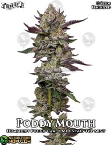 Poddy Mouth (feminized) - Humboldt Seed Company