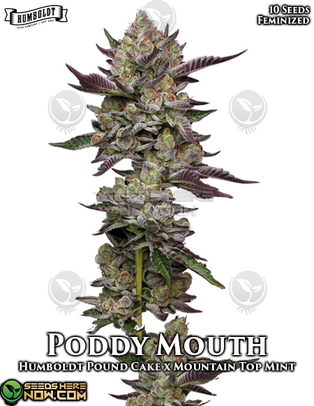Poddy Mouth