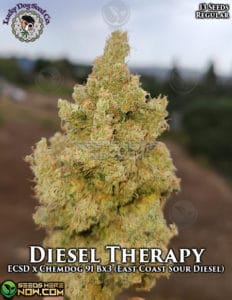 Diesel Therapy (Regular) - Lucky Dog Seed Company