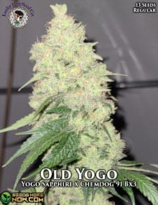 Old yogo (regular) - lucky dog seed company