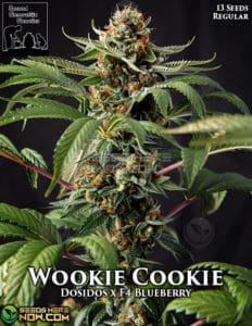 Wookie Cookie (Regular) - Second Generation Genetics