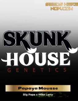 Papaya Mousse (Regular) (space) Skunk House Genetics