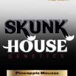 Pineapple Mousse (Regular) - Skunk House Genetics