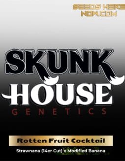 Rotten Fruit Cocktail (Regular) (space) Skunk House Genetics