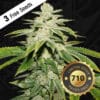 Watermelon Ultra 710 Bonus Pack (feminized) - T.h. Seeds