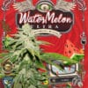 Watermelon Ultra 710 Bonus Pack (feminized) - T.h. Seeds