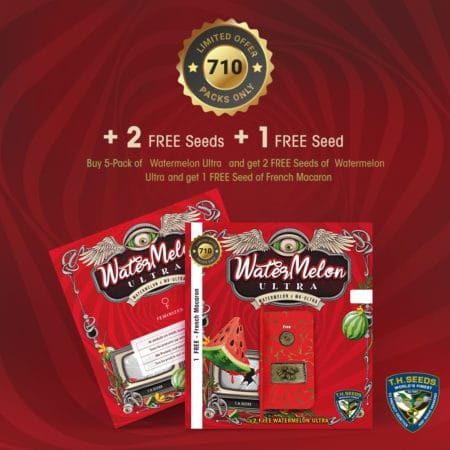 T.h.seeds - Watermelon-Ultra-Promo-Cards