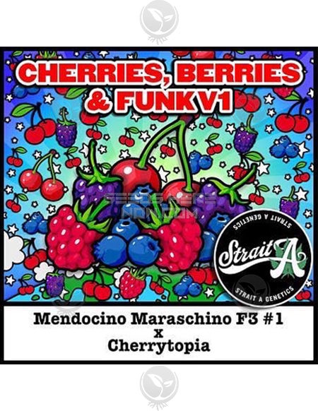 Strait-A-Cherries-Berries-Funk-V1