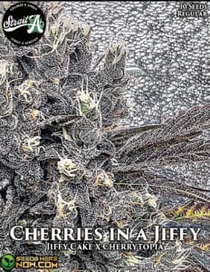 Cherries in a Jiffy (Regular) - Strait A Genetics