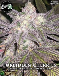 Forbidden Cherries (Regular) - Strait A Genetics