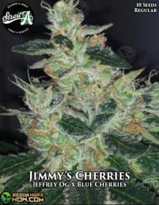 Jimmy's Cherries (regular) - Strait a Genetics