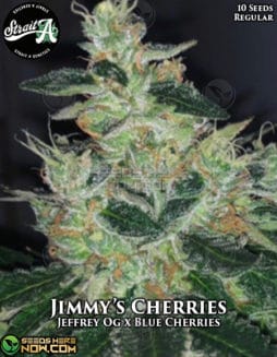 Strait A Genetics - Jimmy's Cherries {REG} [10pk]strait-a-genetics-jimmys-cherries