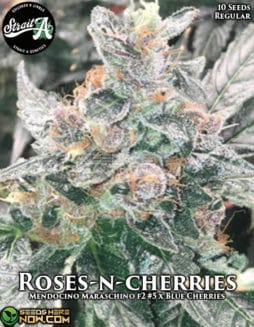 Strait A Genetics - Roses-n-Cherries {REG} [10pk]strait-a-genetics-roses-n-cherries