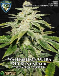 Watermelon Ultra 710 Bonus Pack (feminized) - T.h. Seeds