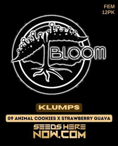Bloom Klumps