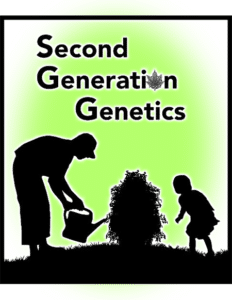 Blue Ecstasy (Regular) - Second Generation Genetics