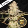 Bubble Banana Gum Bonus Pack (Feminized) (space) T.H. Seeds
