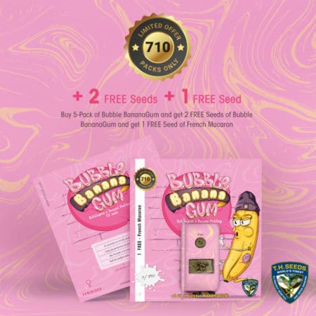 T.h.seeds - Bubble-Bananagum-Promo-Cards-Preview