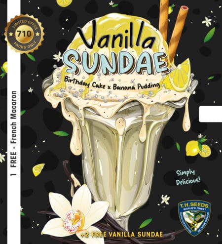 T.h.seeds Vanilla-Sundae-710-Card-Front-Preview_1