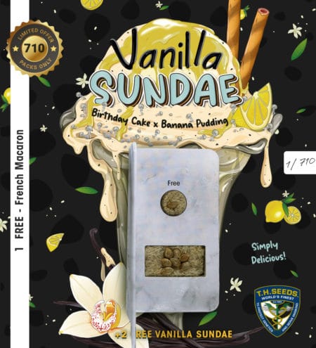 T.h.seeds Vanilla-Sundae-710-Card-Front-Preview