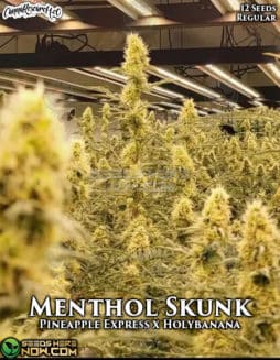 Cannabis Research Seed Co - Menthol Skunk {REG} [12pk]Menthol Skunk