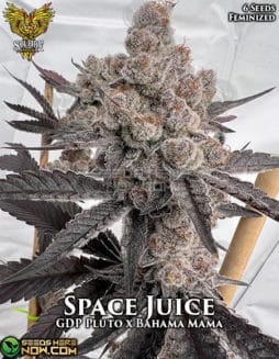 Solfire Gardens - Space Juice RETIRED {FEM} [6pk]Space-juice-fem-6