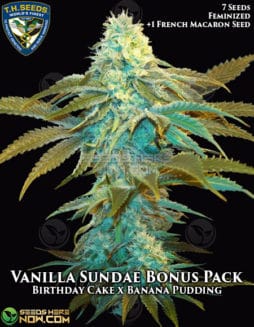 T.H. Seeds - Vanilla Sundae 710 Bonus Pack {FEM} [8pk]vanilla-sundae-bonus-pack-fem