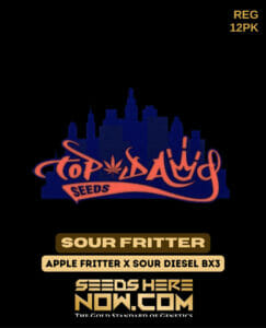 Sour Fritter (regular) - Top Dawg Seeds