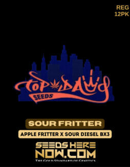 Top Dawg Seeds - Sour Fritter {REG} [12pk]Top Dawg Sour Fritter
